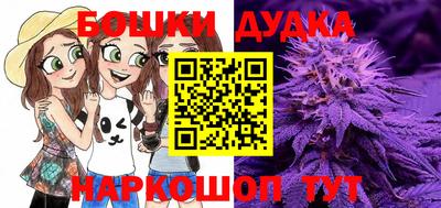 молекула духа Нарткала