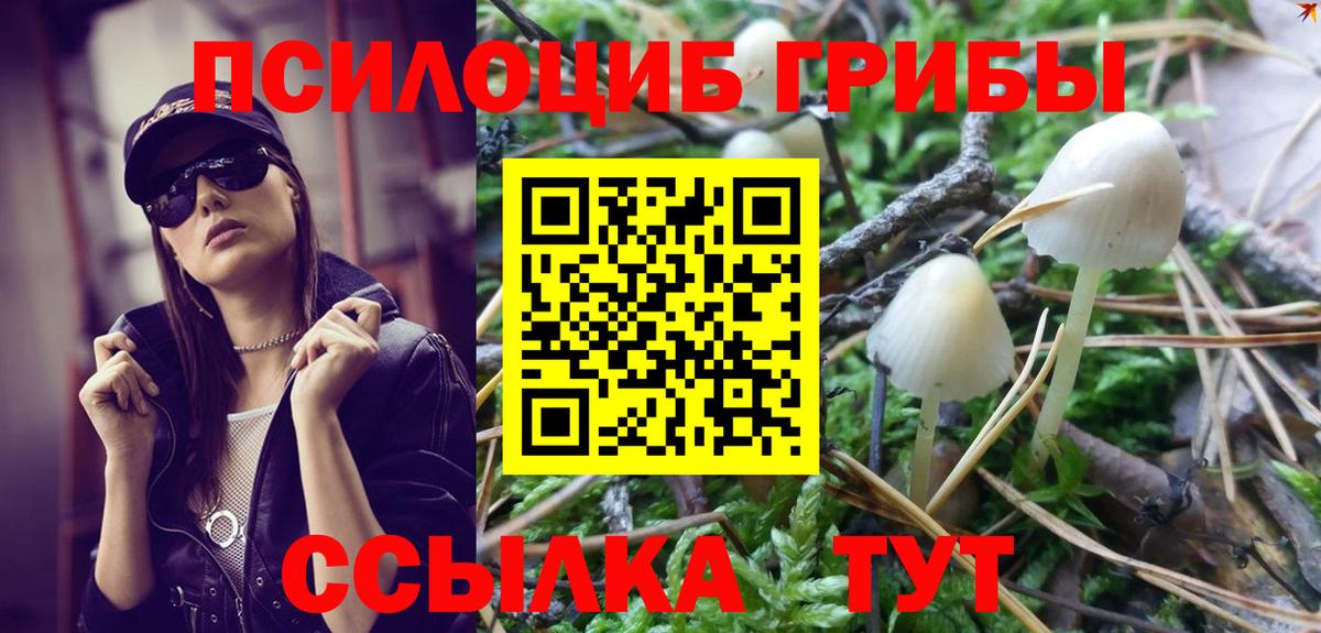 Галлюциногенные грибы Magic Shrooms  магазин  наркотиков  Шали  Вход с VPN 